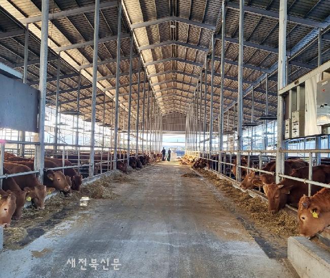 기사 대표 이미지