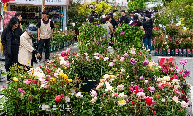 5월에 더 아름다운 꽃들   