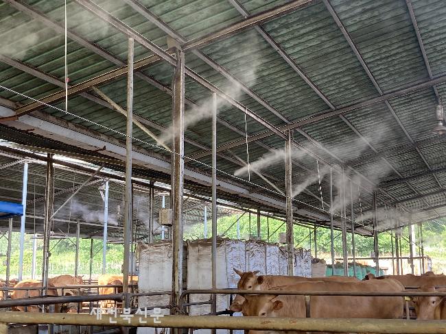 기사 대표 이미지