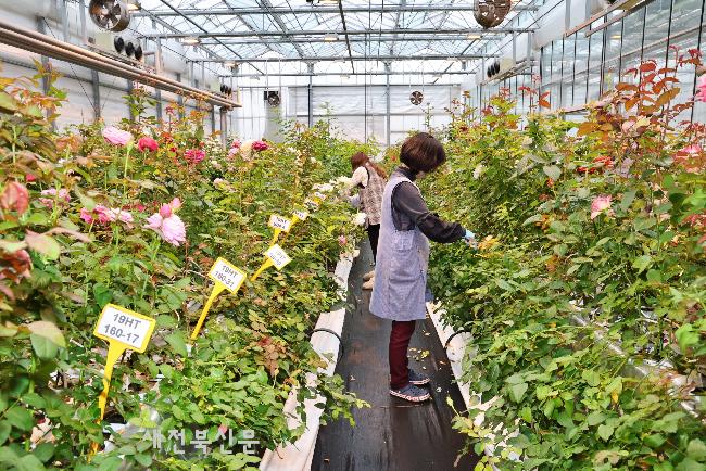 기사 대표 이미지