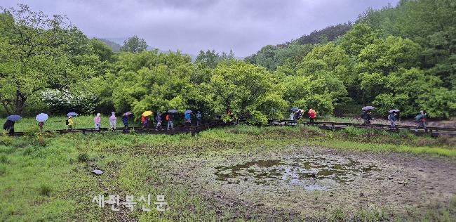 기사 대표 이미지