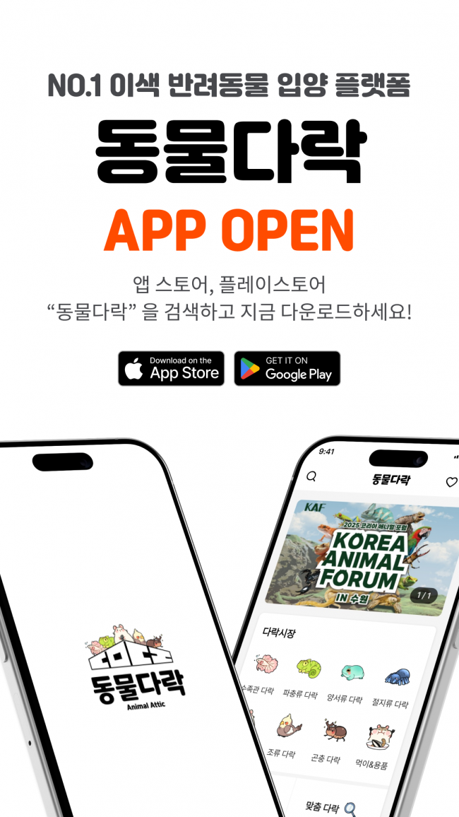 기사 대표 이미지