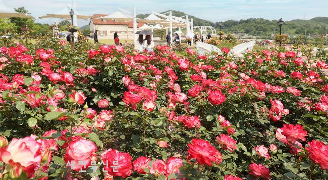 기사 대표 이미지