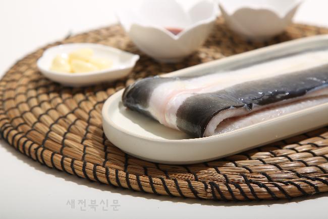 기사 대표 이미지