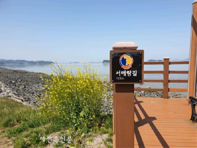 기사 대표 이미지