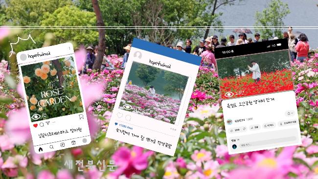 기사 대표 이미지