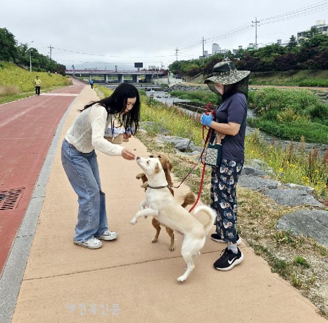기사 대표 이미지
