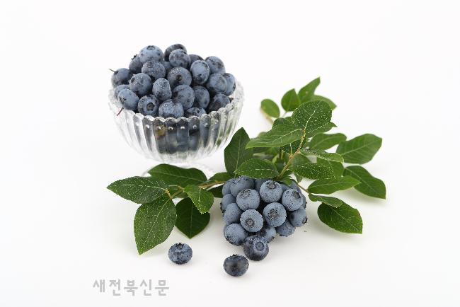 기사 대표 이미지