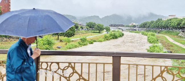기사 대표 이미지