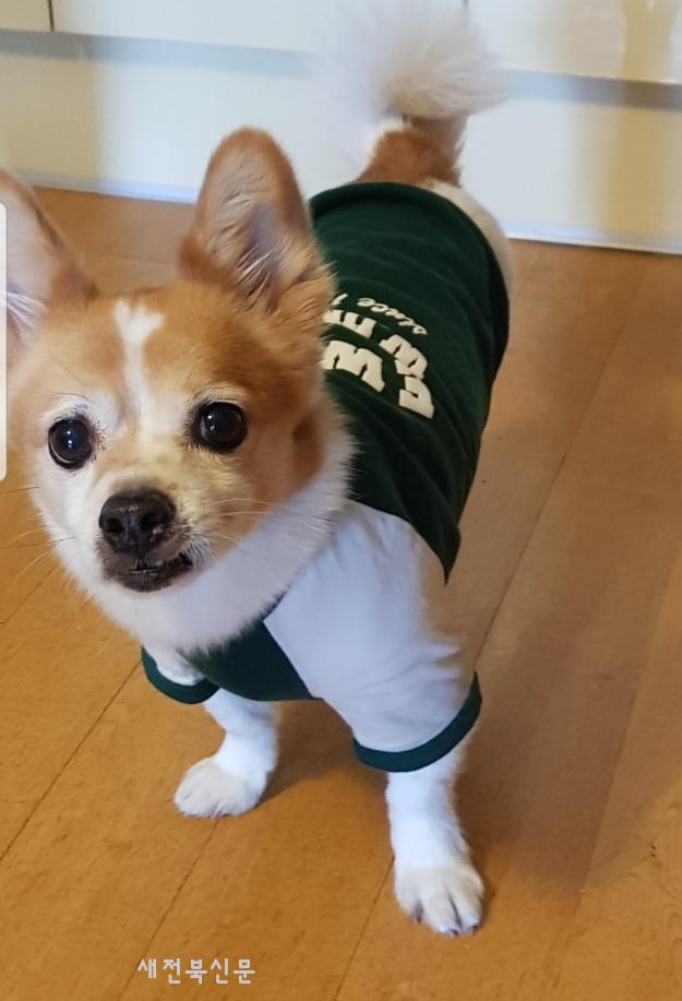 기사 대표 이미지