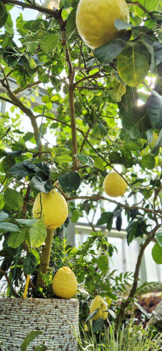 기사 대표 이미지