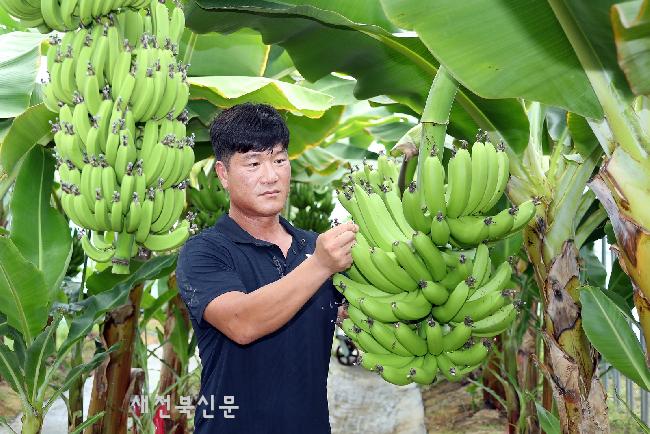 기사 대표 이미지