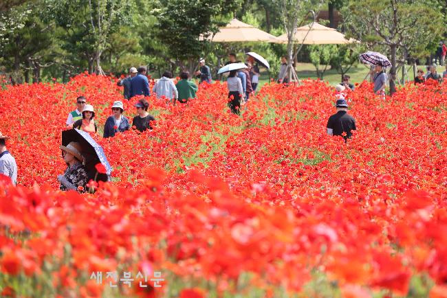 무소속 3선 심 민 임실군수의 뚝심 행정 11년, 천만관광 임실 가시권          