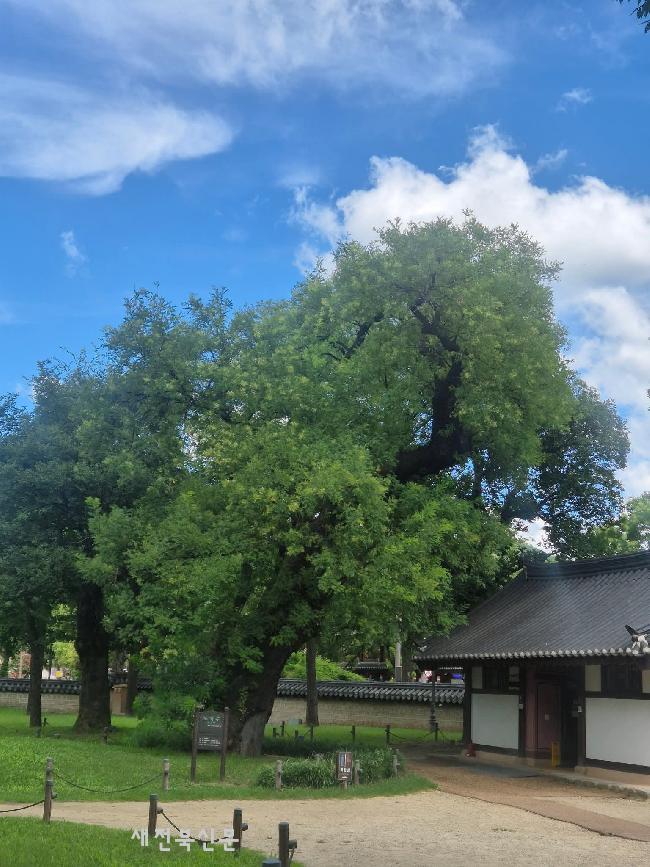 기사 대표 이미지