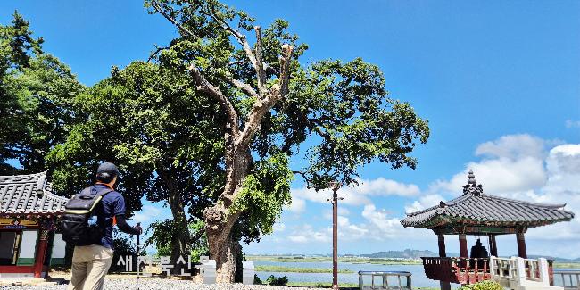 기사 대표 이미지