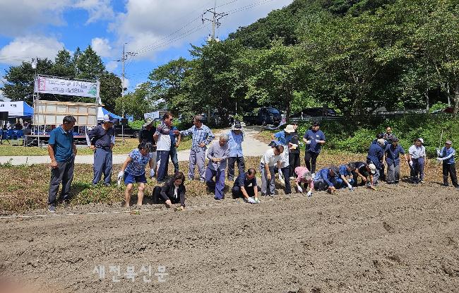 기사 대표 이미지