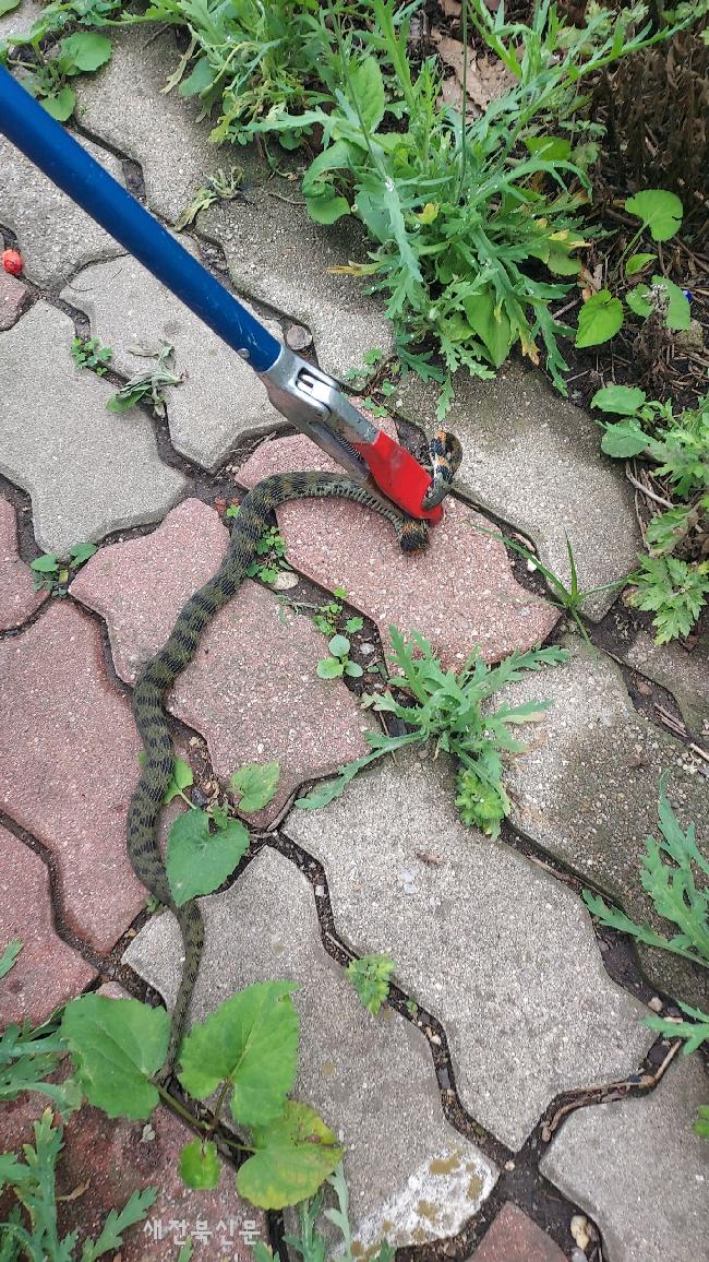 기사 대표 이미지