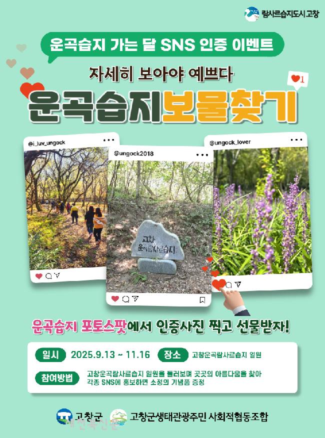 기사 대표 이미지