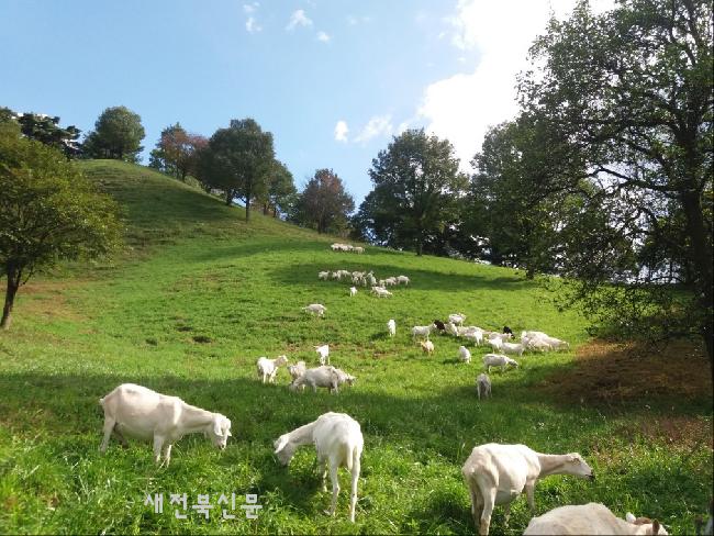 기사 대표 이미지