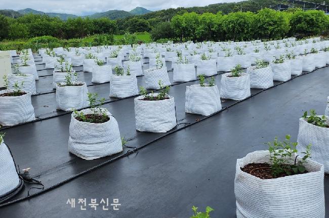 기사 대표 이미지