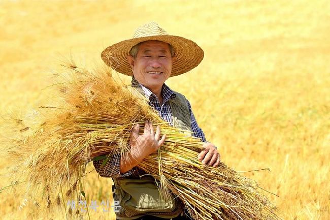 기사 대표 이미지