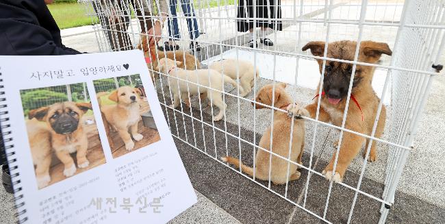 기사 대표 이미지