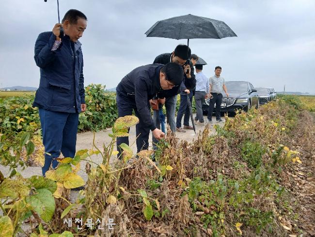 기사 대표 이미지