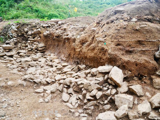 기사 대표 이미지