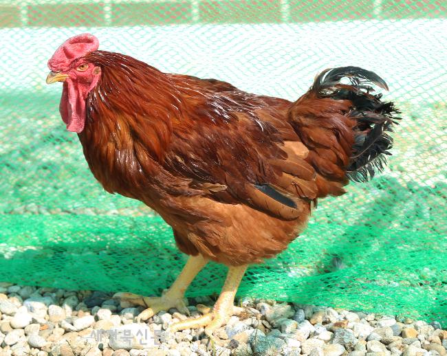 기사 대표 이미지