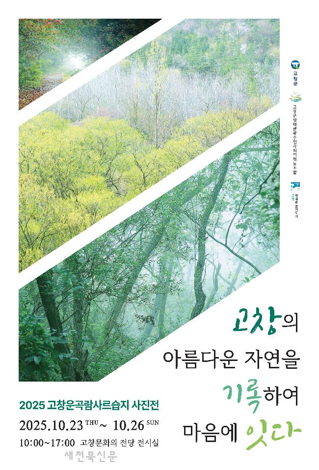 기사 대표 이미지