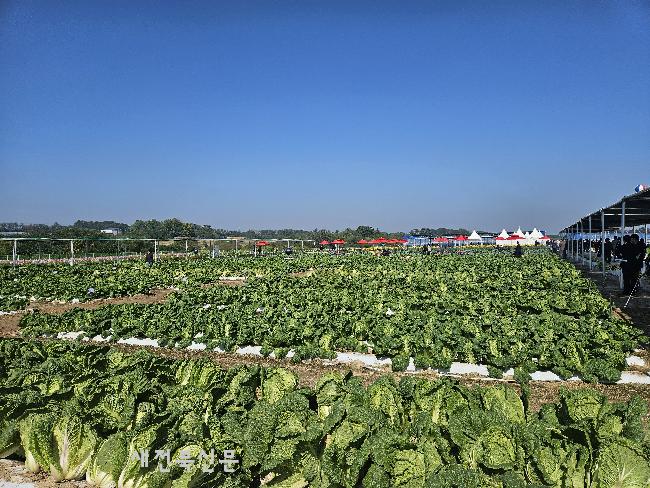 기사 대표 이미지