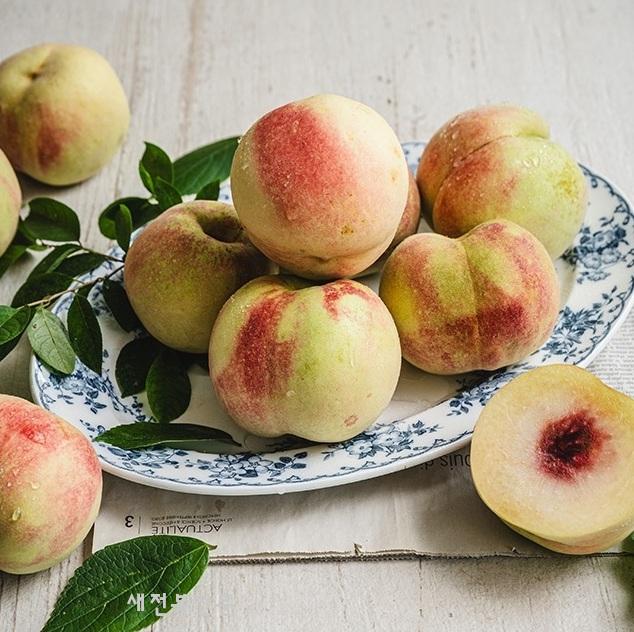 기사 대표 이미지