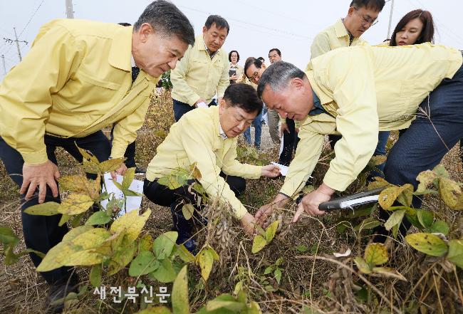 기사 대표 이미지