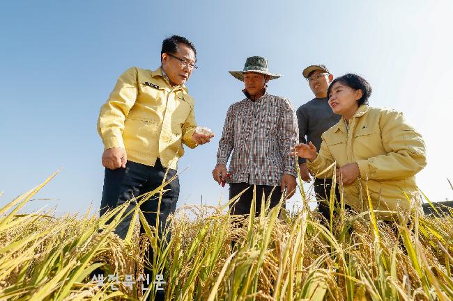 기사 대표 이미지
