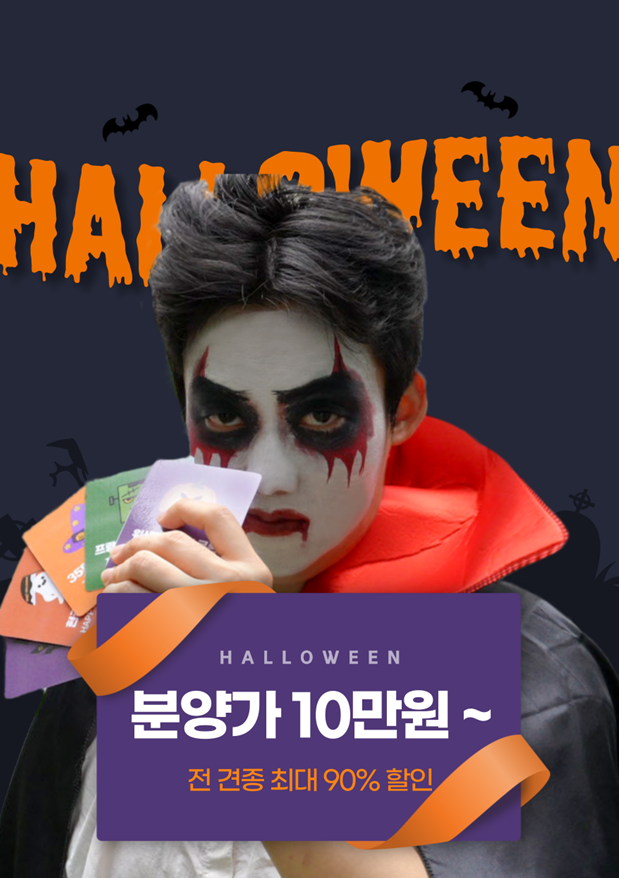 기사 대표 이미지