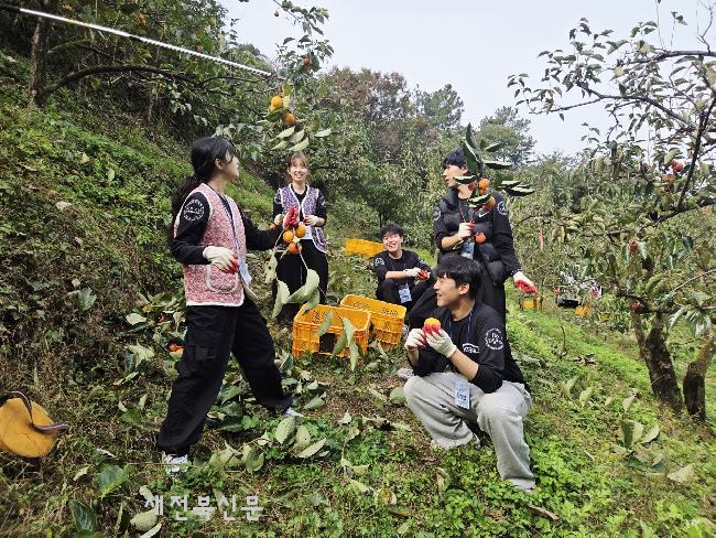 기사 대표 이미지