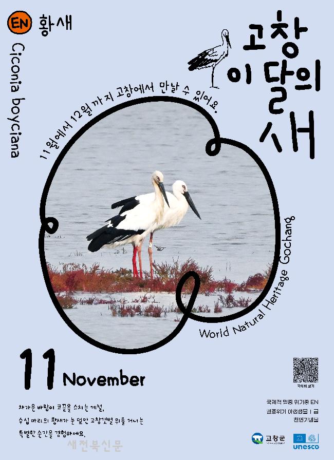 기사 대표 이미지