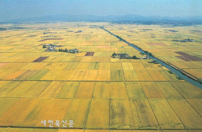 기사 대표 이미지