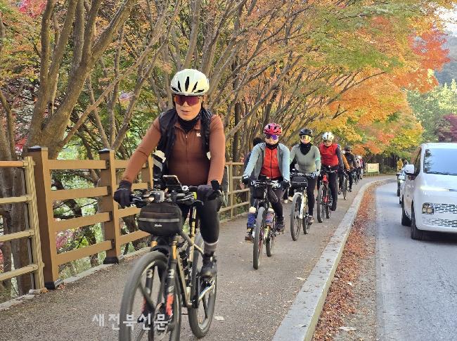 기사 대표 이미지