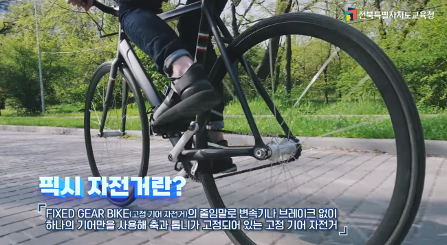 ‘픽시 자전거’ 안전사고 예방 