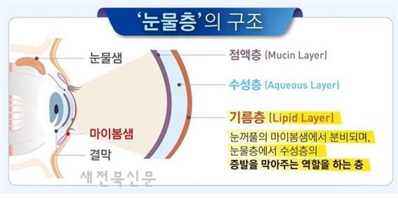 기사 대표 이미지