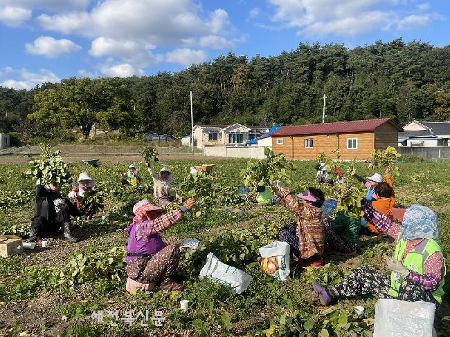기사 대표 이미지