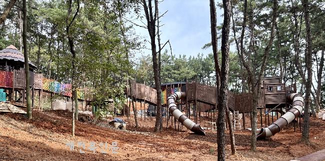 기사 대표 이미지