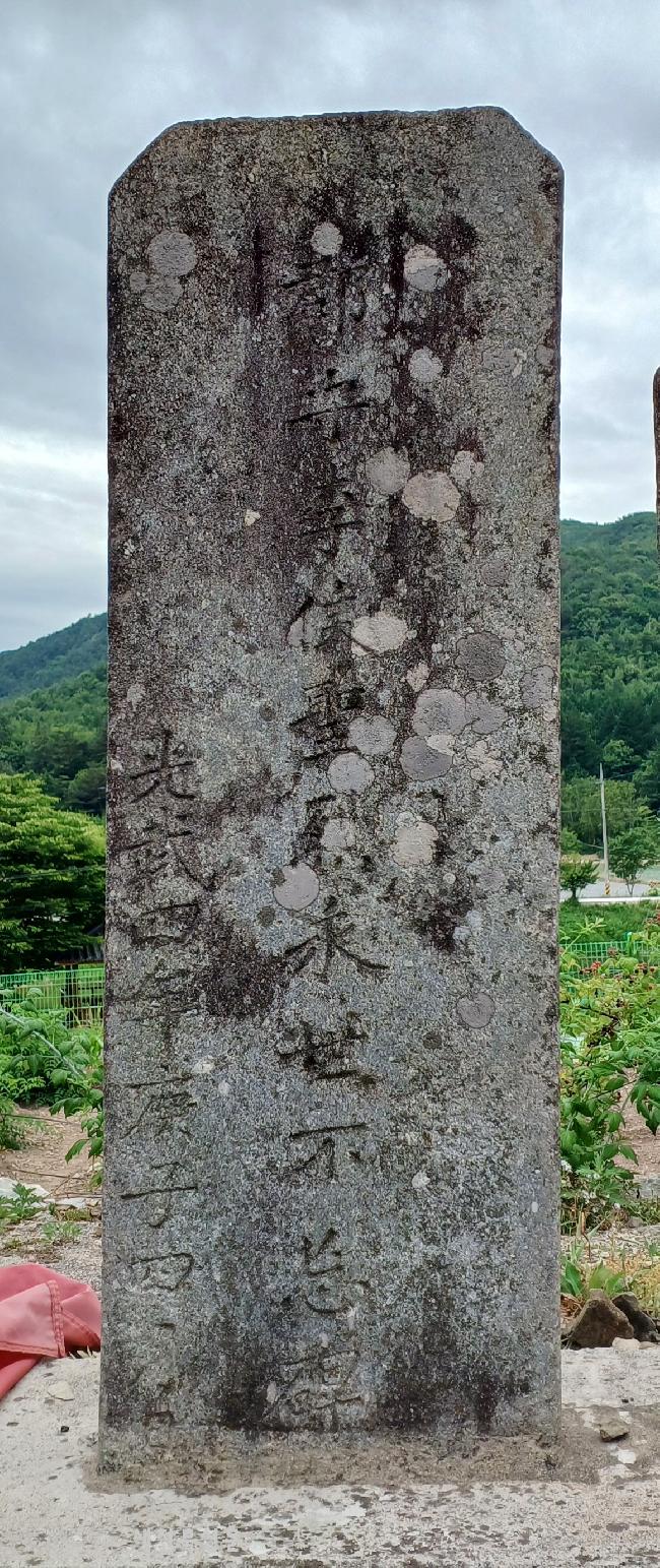 기사 대표 이미지