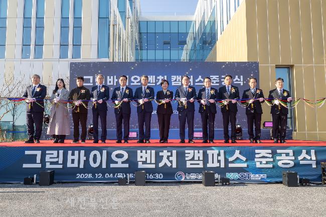 기사 대표 이미지