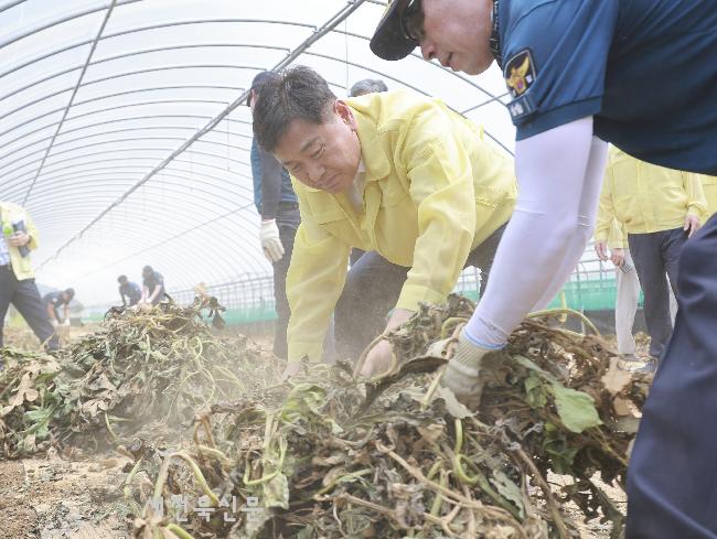 기사 대표 이미지