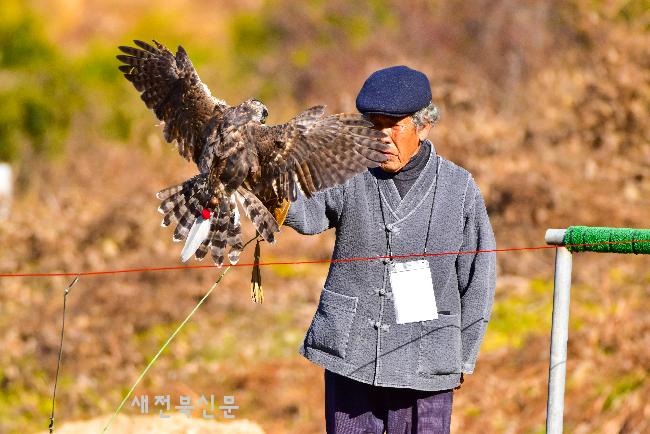 전북특별자치도 무형유산 ‘매사냥’
 공개시연회