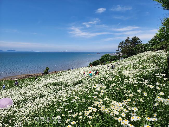 부안군, 2025년 2분기 생활인구 전북특별자치도 1위