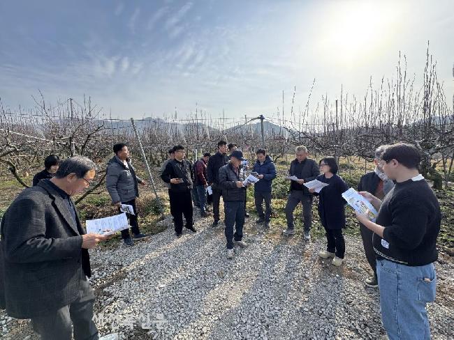 약제 사용량 3분의 1로 ‘뚝’ 정읍 배 농가, 스마트 방제로 경쟁력 높인다
