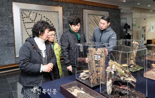 무주군 딱정벌레 한살이 특별기획전